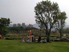-牛岗山公园