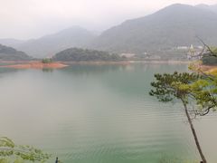 -广州市流溪河国家森林公园