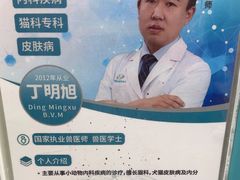 -北京观赏动物医院·24小时大型综合·猫专科·异宠专科