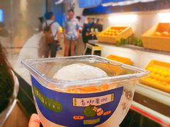 香椰果咖-野萃山·潮汕厚果汁(十亩地店)