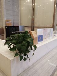 -成都艾特他整形外科医院