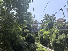 -富斯特索道