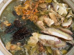 -蘑统田下·野生菌火锅