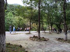 -金龙寺国家森林公园