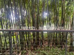 -云溪植物园