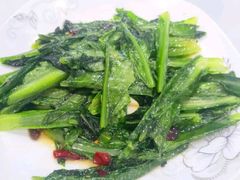 油麦菜-汉通东林海鲜大酒店(鼓楼孝闻街店)