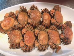 -大东海海鲜酒楼(渔人码头总店)