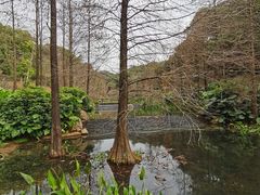 -云溪植物园