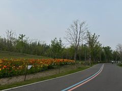 -上海滨江森林公园