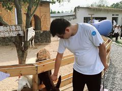 -HERRE·FARM 赫尔露营农场·团建聚会包场