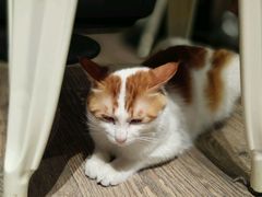 -小时光咖啡馆(开森度假森林店)
