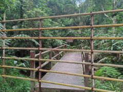 -海南热带雨林国家公园吊罗山景区