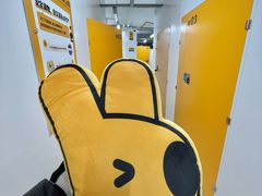 -安东易迷你仓自助寄存仓库(苏州桥店)