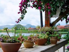 -夏屿湖畔.落日湖景餐厅(普者黑景区店)