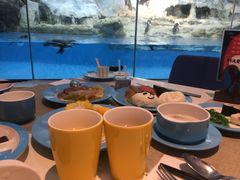 -帝企鹅自助餐厅•儿童岛•真企鹅(长隆企鹅酒店)