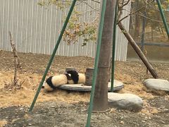 -卧龙自然保护区