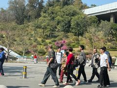 -点都德(广州白云山景区南门店)