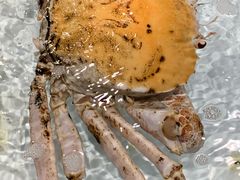 -万龙洲海鲜(南新仓店)