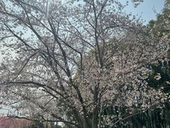 -凤凰沟景区