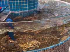 -蓝珊甄选海鲜自助·火锅大排档(近阿那亚店)