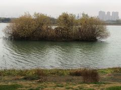 -长广溪湿地公园