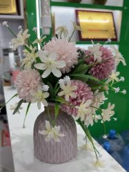 -苗医生专业祛痘·皮肤管理