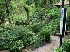 -青城道汤池