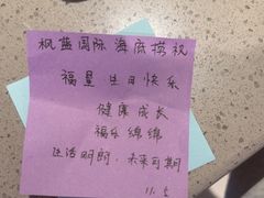 -海底捞火锅(枫蓝国际购物中心店)