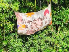 -巢湖姥山岛