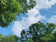 -三块石国家森林公园