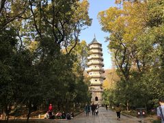 -灵谷景区