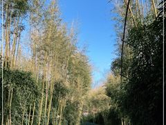-红螺寺