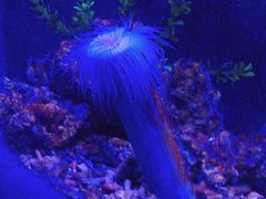 -沙沙哗啦海洋馆(华宇百花谷店)