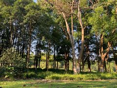 -HAPPEN(江川东路店)