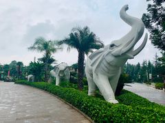 -云南民族村