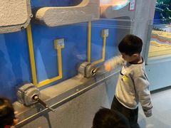 -陕西自然博物馆