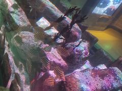 -沈阳海洋探索中心