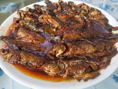 -金台阶鱼馆(于桥水库店)