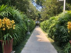 -广州兰圃