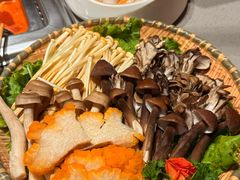 -海底捞火锅(吾悦广场店)