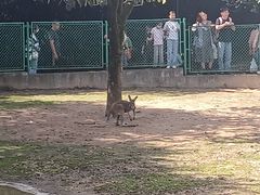 -西安秦岭野生动物园