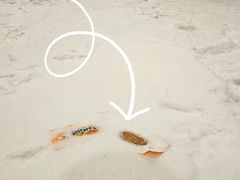 -绍兴启迪乔波冰雪世界