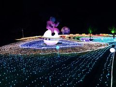 -广西壮族自治区药用植物园