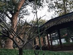 -西泠印社