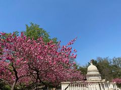-北京世界公园