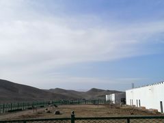 -新疆天山野生动物园