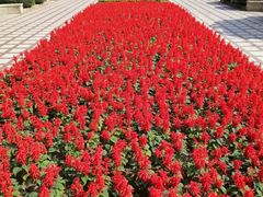 -上海财经大学(国定路校区)