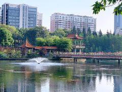 -深圳龙潭公园