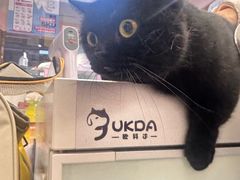 -FAELING PETS美天灵宠物(富力广场店)