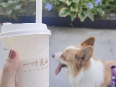 -一叶觅山(半边街店)